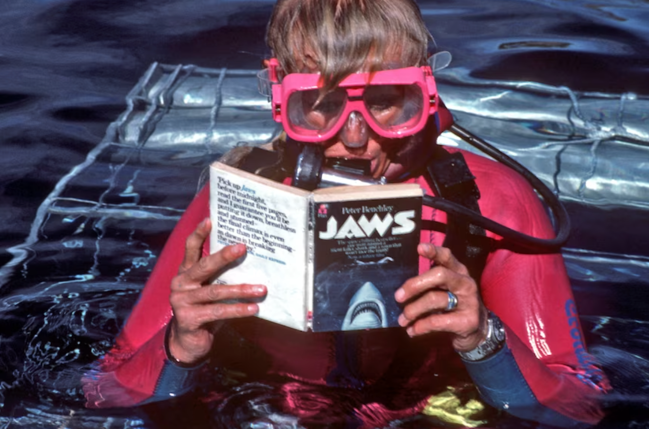 Pioneering conservation while wearing bright wetsuits